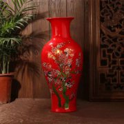 第十届国际发明展优秀风采之大红